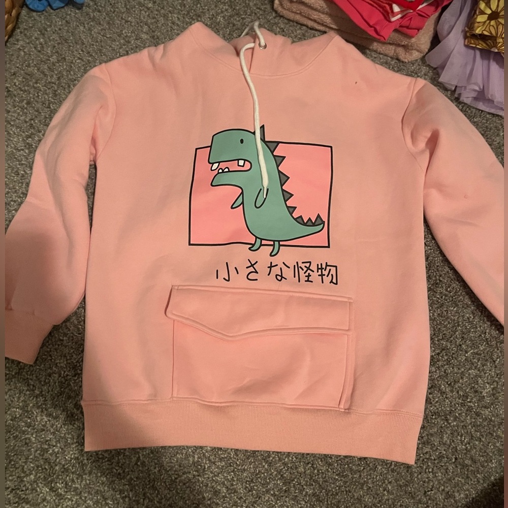 Dinosaur hoodie